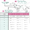 4 ayaklı yağmurluk.webp