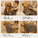 6.webp