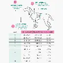 softshel yağmurluk.webp