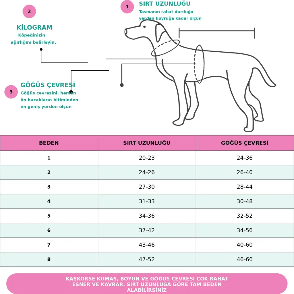 köpek atlet.webp