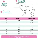 köpek atlet.webp