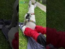 youtube - [Video]