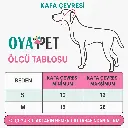 7.webp