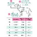 8.webp