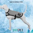 1 (1).webp