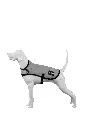 10.webp
