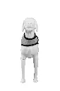 4.webp